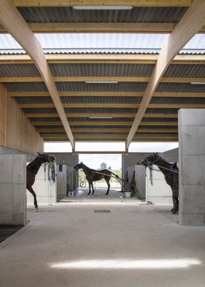 Stable