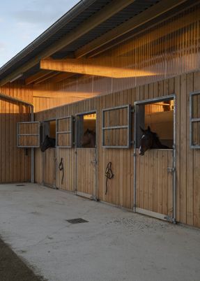 Stable