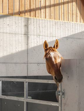 Stable