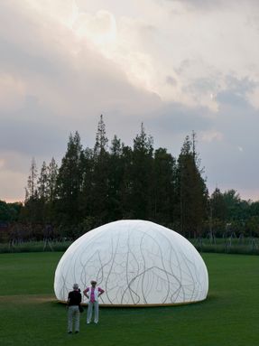 Osmanthus Moon
