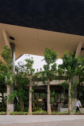 Mitte Oblique Garden