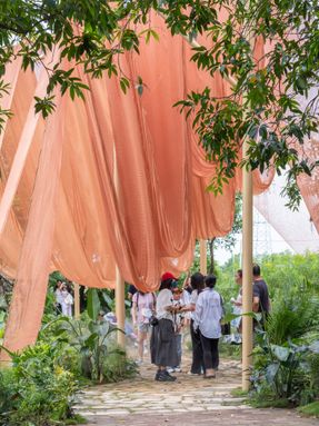 Under The Drying Nets