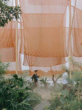 Under The Drying Nets