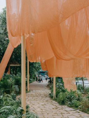 Under The Drying Nets