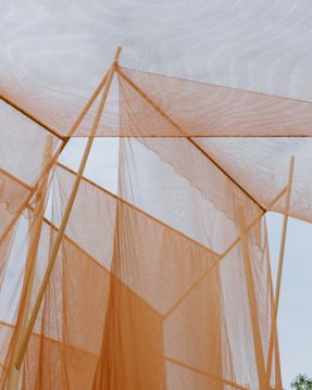 Under The Drying Nets