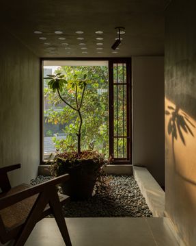 House Beyond The Mango Trees
