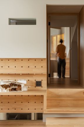 Skin Of Skin House