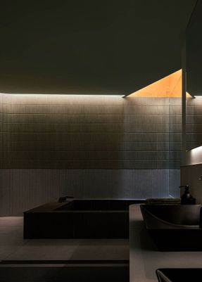 Skin Of Skin House