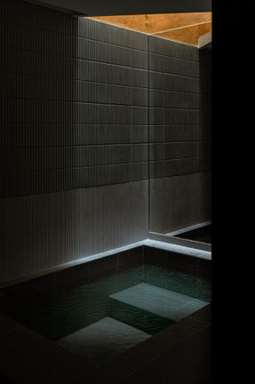 Skin Of Skin House
