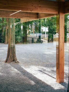 Wiki World Forest Store