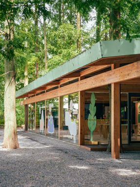 Wiki World Forest Store