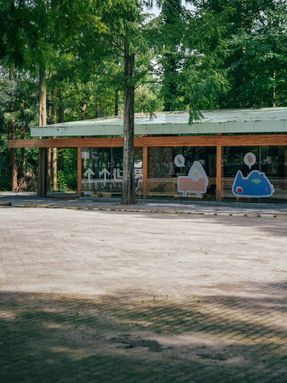 Wiki World Forest Store