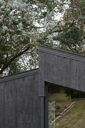 La Negrita House
