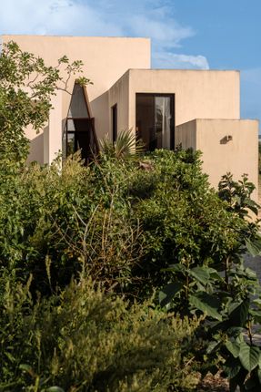 KatNap House