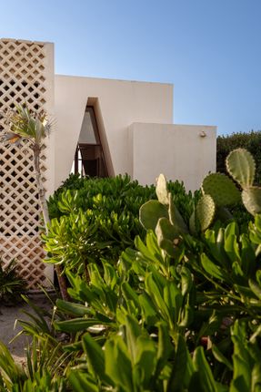 KatNap House