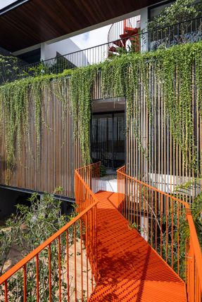 The Summer Path House