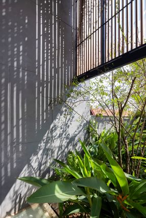 The Summer Path House