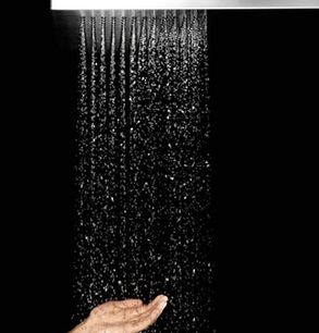 Dornbracht JUST RAIN - Spa Solutions(Shower)