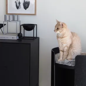 Miacara Torre Scratching Post