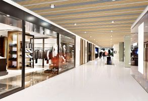 Hunter Douglas Architectural Combi-line Ceiling