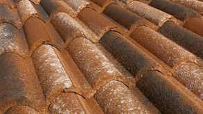 Tegolaia Concrete Tiles