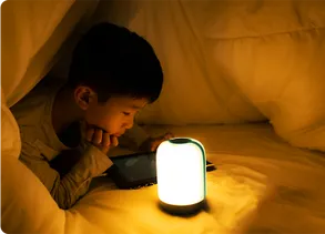 Bioliteenergy BaseCharge Home Emergency Kit