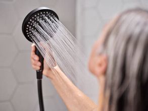 Hansgrohe Raindance Select S Hand shower 120 3jet