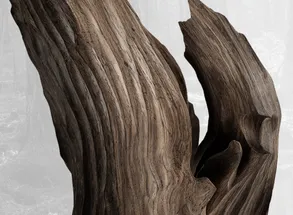 Pent VISLA™ Premium Rowing Ergometer