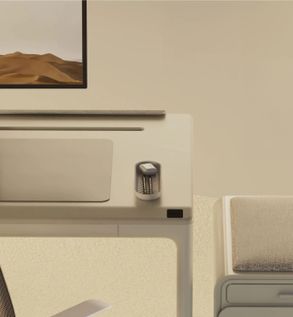 Beflo Gobi - Desk Tray