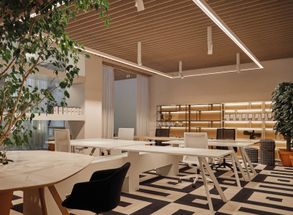 Ideatec Bafles Panels