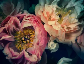 Helen Bankers The Masters – Peonies Paniting