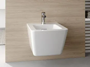 Toto Bidet Sp, Wall-hung