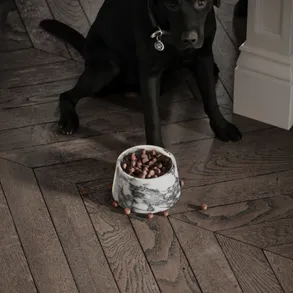 Lusso Vasoni Arabescato Marble Dog Bowl