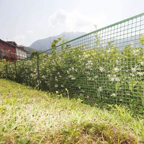 Tenax 20 Plastic, Wide Mesh Net For Additional Protection