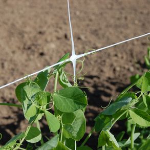 Tenax Hortonova Net Fences