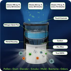 Airoasis 94 Hepa Purifier