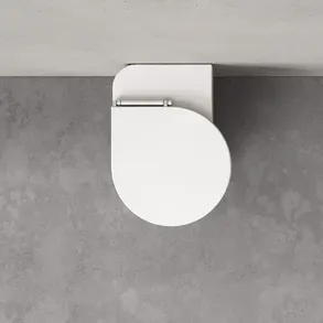 Trone Callipyge Wall - Hung Toilet