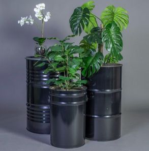 Gotessons Orchid Phalaenopsis 650 Artifical Plant