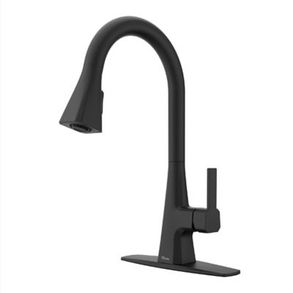Pfister Faucets Frontera Kitchen Faucet