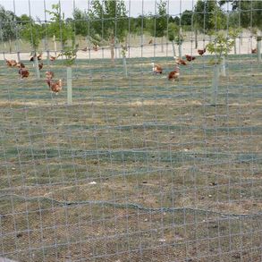 Tenax Exagon Plastic Hexagonal Mesh Fencing