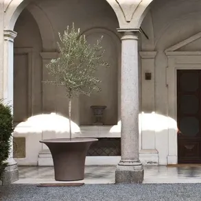 Serralunga Cone Planter