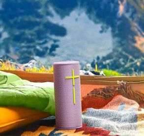 Ultimateears Boom 4 Speaker