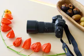 Tamron 90mm F/2.8 DI III VXD M1:1 Camera Lens