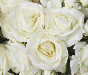 Eichholtz Bouquet Of Hydrangeas Snowball Real Touch 36 Pcs
