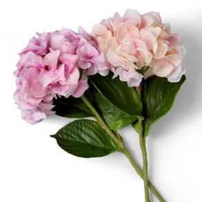 Eichholtz Bouquet Of Hydrangeas Real Touch 48 Pcs/2 Varietie Artifical Plant