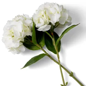 Eichholtz Bouquet Of Hydrangeas Real Touch 48 Pcs/2 Varietie Artifical Plant