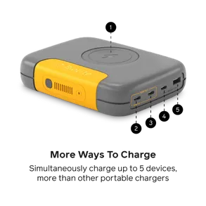 Biolite Charge 100 Max + Fast Charger