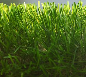 Virag Green Garden Floor