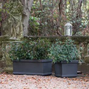 Serralunga Neoclassic Quadro Liscio Planter