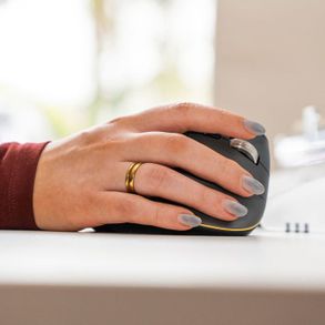 Posturite Bakkerelkhuizen Fastforward Vertical Mouse